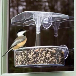 Droll Yankees Window Feeders Observer Window Bird Feeder