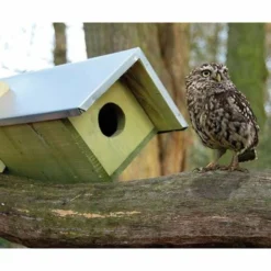 Esschert Design Owl Or Kestrel Extended Horizontal House