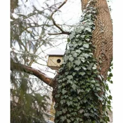 Squirrels Squirrel House By Esschert Design 9 Squirrels Squirrel House By Esschert Design
