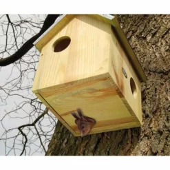 Squirrels Squirrel House By Esschert Design 8 Squirrels Squirrel House By Esschert Design
