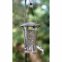 More Birds Hanging Feeders Squirrel X-2 Squirrel Proof Bird Feeder 9 More Birds Hanging Feeders Squirrel X-2 Squirrel Proof Bird Feeder