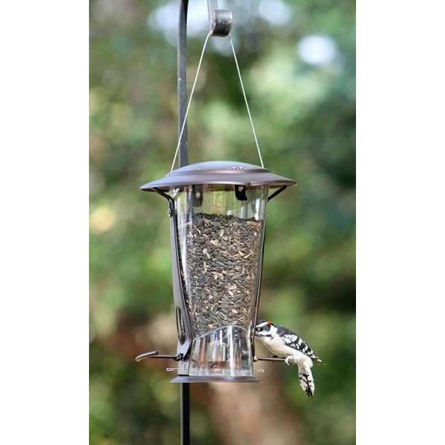 More Birds Hanging Feeders Squirrel X-2 Squirrel Proof Bird Feeder 6 More Birds Hanging Feeders Squirrel X-2 Squirrel Proof Bird Feeder