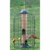 Stokes Select Squirrel Resistant Bird Feeder Cage Feeders 1 Stokes Select Squirrel Resistant Bird Feeder Cage Feeders