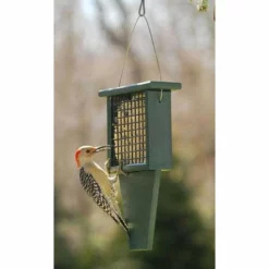 Songbird Essentials Suet Feeder With Tail Prop, Green Hanging Feeders