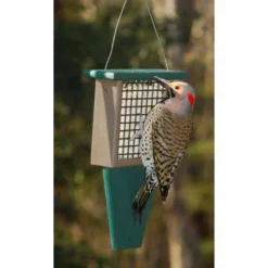 Songbird Essentials Suet Feeder With Tail Prop, Green/Brown Hanging Feeders
