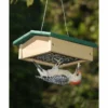 Songbird Essentials Upside-Down Green/Brown Suet Feeder Hanging Feeders