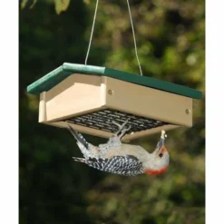 Songbird Essentials Upside-Down Green/Brown Suet Feeder Hanging Feeders