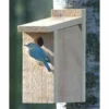 Looker Products View Thru Bluebird House