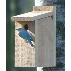 Looker Products View Thru Bluebird House