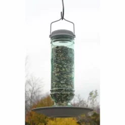 More Birds Vintage Bottle Bird Feeder Hanging Feeders