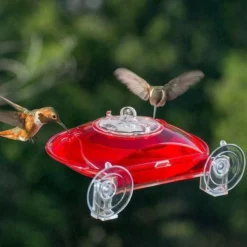 Droll Yankees Window Hummer III Hummingbird Feeder Hummingbird Feeders