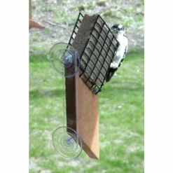 Looker Products Window Suet Feeder With Tail Prop Suet Feeders