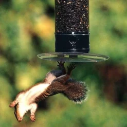 Droll Yankees Hanging Feeders Yankee Tipper Squirrel Proof Bird Feeder