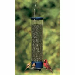 Droll Yankees Yankee Whipper Squirrel Proof Bird Feeder Hanging Feeders