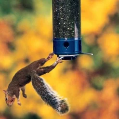 Droll Yankees Yankee Whipper Squirrel Proof Bird Feeder Hanging Feeders 8 Droll Yankees Yankee Whipper Squirrel Proof Bird Feeder Hanging Feeders